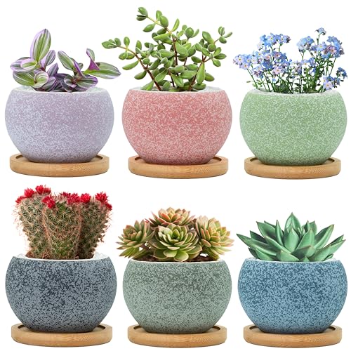 3 inch Ceramic pots for Plants, Small Succulent Pots Set with Drainage, 6 Pack Flower Pot for Indoor Plant, Planters for Little or mini Cactus 2 inches Plants
