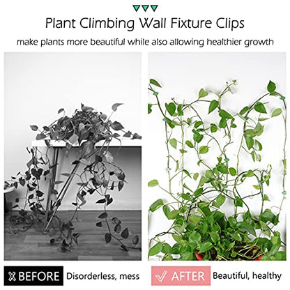 40 Pcs Plant Climbing Wall Fixture Clips, Self-Adhesive Hook for Vines - color: 40Pcs-Leaf Shaped