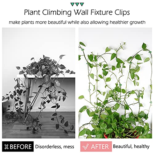 60 Pcs Plant Climbing Wall Fixture Clips, Self-Adhesive Hook for Vines - color: 60Pcs-Leaf Shaped