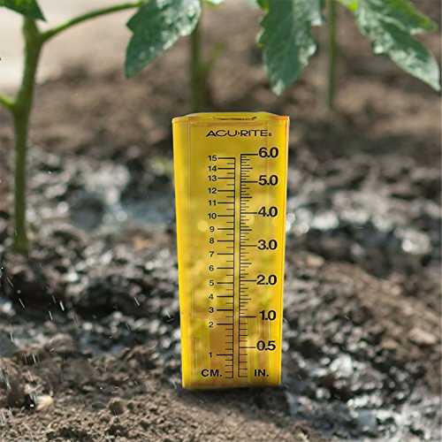 AcuRite (00840A1 6" Capacity Yellow Rain Gauge