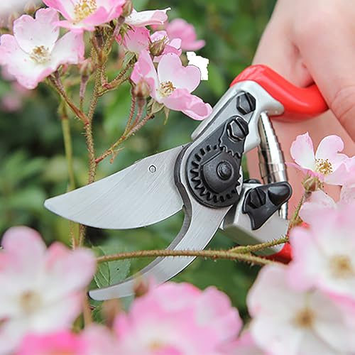 Darlac Expert Bypass Pruner 25mm (1 inch) Maximum Cut - style: Safety