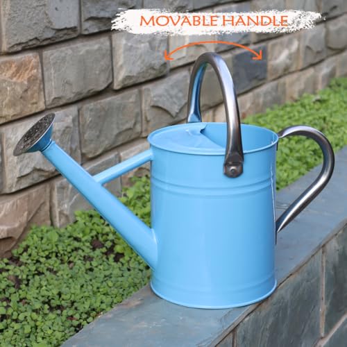 Metal Watering Can, 1 Gallon for Outdoor Garden Plants, Blue - color: Blue With Stainless Steel Handle