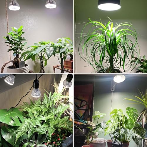 SANSI 5W Dimmable Grow Light Bulb, Full Spectrum with Remote Control - size: PPFD 53