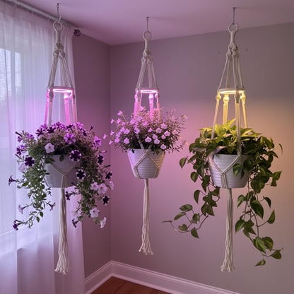 Hanging Plant Grow Lights for Indoor Plants with Timer - size: 1 Pack
