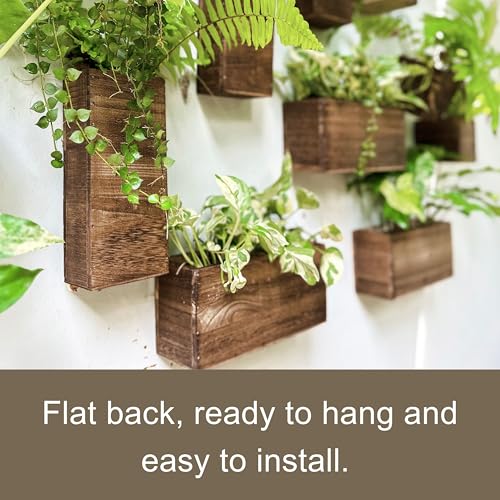 LaLaGreen Wood Planter Box for Plants (6 Pack) Wall Planters for Indoor - size: 6-pc Set A