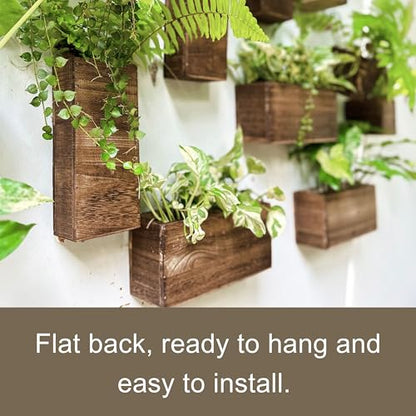 LaLaGreen Wood Planter Box for Plants (6 Pack) Wall Planters for Indoor - size: 6-pc Set A