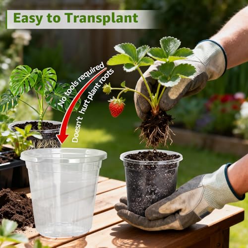 MIXC Clear Nursery Pots with Drainage Holes and Saucers, 12Inch, 12Pack - size: 12 Inch-12 Pack