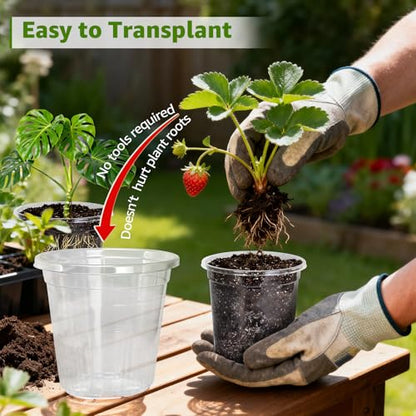 MIXC Clear Nursery Pots with Drainage Holes and Saucers, 12Inch, 12Pack - size: 12 Inch-12 Pack