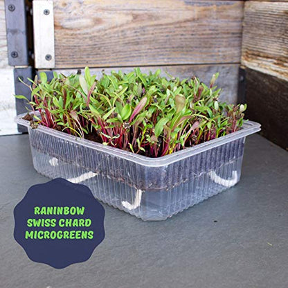 Mountain Valley Seed Co Self-Watering Indoor Microgreen Kit Complete Soil - size: Soil