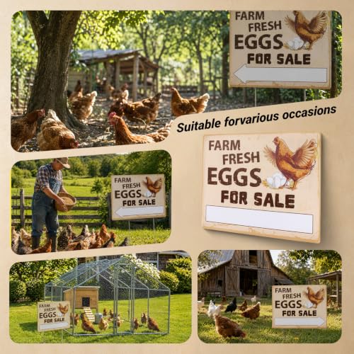 Eggs for Sale Sign Double Sided Farm Fresh Eggs Sign
