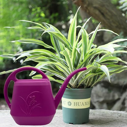 Plant Watering Can - Plastic for Indoor and Outdoor Home Plant - 1/2 Gallon - Rose Red - color: Rose Red