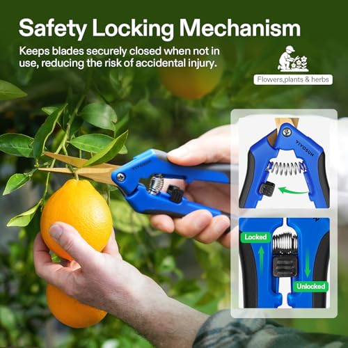 VIVOSUN 6.5 Inch Garden Scissors, Blue Pruning Shears for Plants, 2-Pack - style: Blue Curved Blade