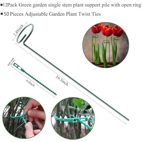 16 InchPlant Stakes for Flowers-12 Pack, Single Stem Plant Support Stakes - color: Green