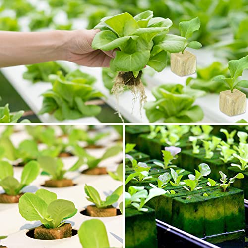 Legigo 1 Inch Rockwool Cubes Seed Starter Plugs for Hydroponics, 200 Plugs - color: 4 Sheet, size: 1" Plugs