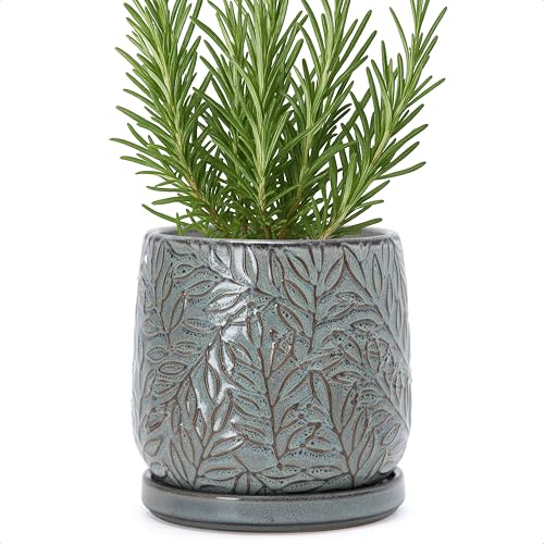 D'vine Dev Embossed Leaves Ceramic Planter, 6 in, Graphite Blue, 27-A-X-9 - color: Graphite Blue, size: 6 Inch