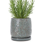 D'vine Dev Embossed Leaves Ceramic Planter, 6 in, Graphite Blue, 27-A-X-9 - color: Graphite Blue, size: 6 Inch