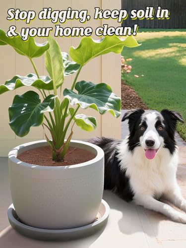 ANPHSIN 3 Plant Pot Grid Cover Protectors from Animals, 20.8" Dia - size: 20.8"