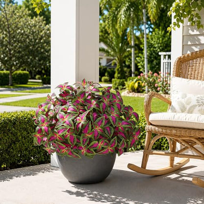HyeFlora Artificial Coleus Plants Outdoor 5 Pcs (Red) - color: Red