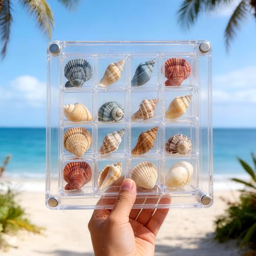 2 Pack Beach Sand Sifter with Seashell Bags & Display Case for Boys & Girls - color: Blue-orange