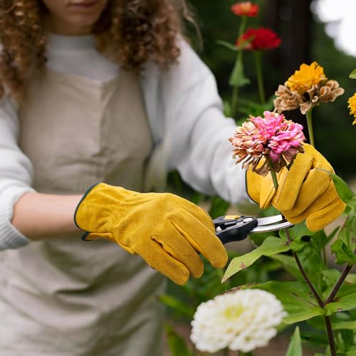 OZERO Leather Work Gloves, Gardening Gloves, Flex Grip, 5 Pairs, Medium - color: Gold(5 Pair), size: Medium
