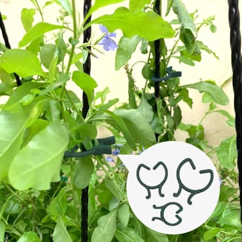 Hysagtek Plant Clips 200 Pcs Garden Clips Plant Support Clips for Climbing Plants Vine Fixing Clips for Plants Stem Support Tomatoes Cucumbers Flowers (L+M+S) - size: L+M+S