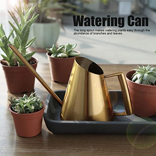 Gold Watering Can 1500ml Stainless Steel Cans Indoor Plants