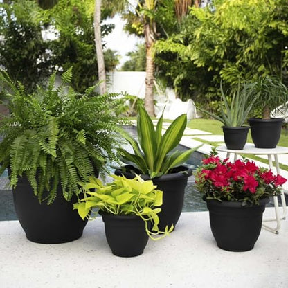 Bloem Ariana 8" Plastic Self-Watering Planter, Black, 4-Pack - color: Black, size: 8" (Pack of 4)