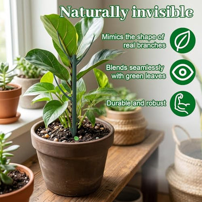 5 Pack Monstera Plant Support Upgrade Stackable Plant Stakes