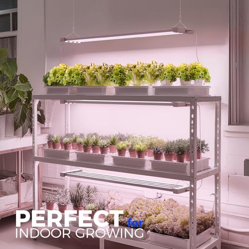 Barrina TX-L63 3FT LED Grow Light, 63W, 4 Panels Wider Coverage, High PPFD - color: Pinkish White, size: 3FT-1 Pack