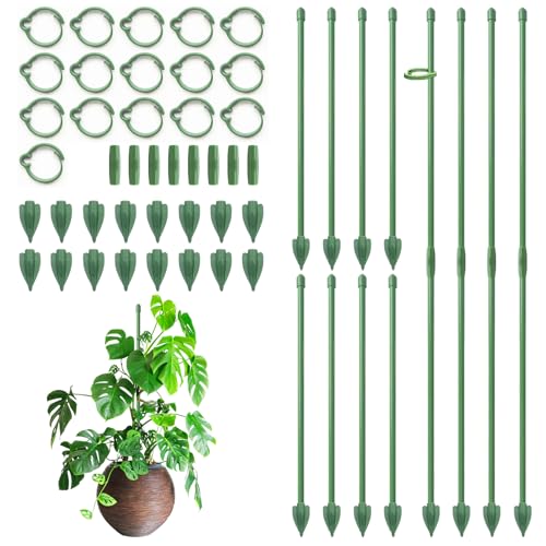 RIFNY Plant Stakes for Indoor Plants, 14 Inch Plant Support Stakes, 16 PCS - color: Green, size: 14IN 16PCS