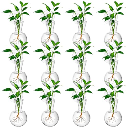 12Pcs Window Propagation Stations Bulb Glass Vases with Suckion Cups Hooks Hydroponics Plant Propagation Vases No Nails Wall Hanging Planter for Water Plant Propagation Rooting Cuttings