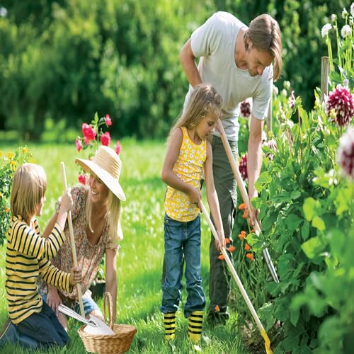Stainless Steel Hand Trowel, Rustproof Heavy Duty Measuring Garden Shovel - color: Narrow Graduated Spatula