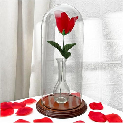 Plymor 5.5" x 13" Glass Display Dome Cloche (Walnut Veneer Base) - color: Walnut Veneer Base