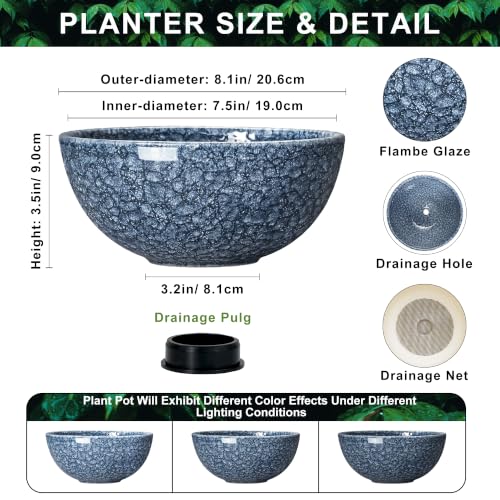 Succulent Pots, 8 Inch Ceramic Bonsai Pots, Bowl Planter, Scale Blue - color: Scale Blue-1, size: 8 Inch