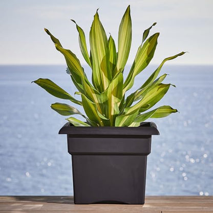Bloem Veranda 18" Plastic Square Planter Box, Black, 2-Pack - color: Black, size: 18" (Pack of 2)