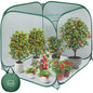Pop Up Mesh Plant Cover, 35x35x38'' Garden Netting for Insect Protection - color: Green, size: 1 piece