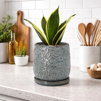 D'vine Dev Embossed Leaves Ceramic Planter, 5 in, Graphite Blue, 27-A-V-9 - color: Graphite Blue, size: 5 Inch