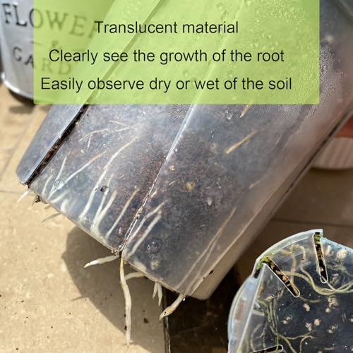 Clear Nursery pots with Drainage 5/6/7/8/9 inch 10 Pack - size: 5/6/7/8/9inch with saucers