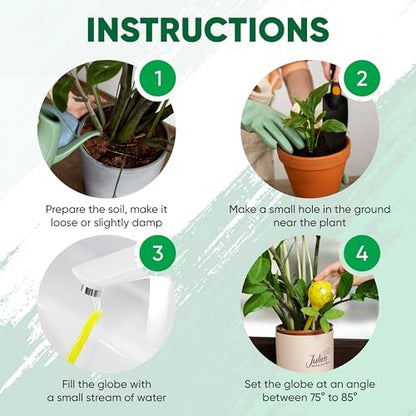 Plant Watering Globes Set of 4, Large - Glass Self Watering Globes - style: Set of 4 Large