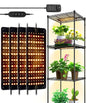 Barrina Grow Lights Panel for Indoor Plants, 4 x 10W Ultra-Thin Plant Light - size: 4 Pack