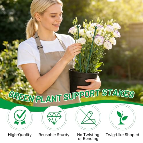 10 Plant Support Stakes for Indoor Plants with Clips & Plant Tie