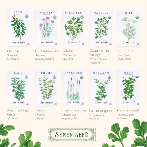 Sereniseed Certified Organic Herb Seeds 35-Pack | Non-GMO Heirloom Variety for Indoor Outdoor Culinary Gardening Gift Kit - size: 35-Pack