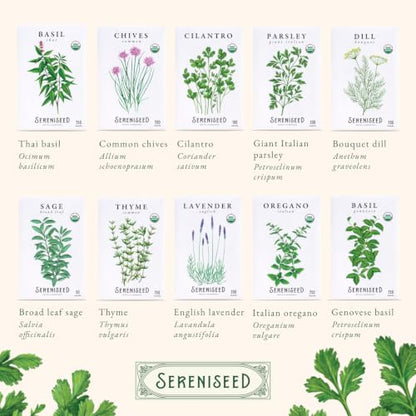 Sereniseed Certified Organic Herb Seeds 35-Pack | Non-GMO Heirloom Variety for Indoor Outdoor Culinary Gardening Gift Kit - size: 35-Pack