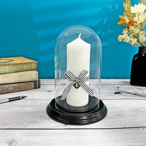 Plymor 4" x 7" Small Glass Display Dome Cloche (Black Wood Veneer Base) - color: Black Wood Veneer Base