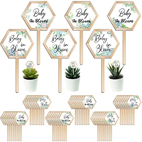 Amyhill 48 Pcs Baby in Bloom Succulent Tags for Baby Shower Wooden Stake - style: Baby Style