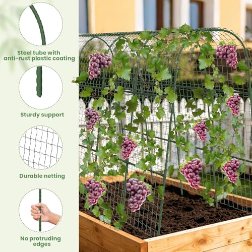 Cucumber Trellis, Metal Garden Arch Trellis for Raised Bed, 63 x 48inch U-Shape Garden Trellis for Climbing Plants Outdoor, Vegetables Fruit Plant Support with Netting, Gardening Supplies (Green) - size: 63 x 48 inch