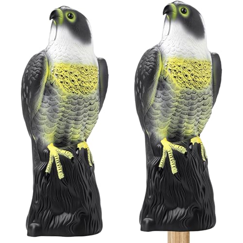 2 Pack Bird Scarecrow Fake Horned Hawk Decoy, Novel Color - color: Novel Color