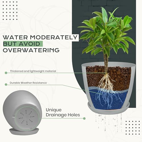 Plant Pots Indoor with Drainage, 10 Pack Multi-Size Planters Set, Grey - color: Gray, size: Pack of 10