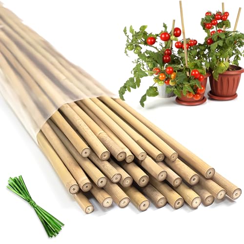 Plant Stakes, 16 Inches Natural Bamboo Stakes Plant Support Stakes -20Pcs - size: 16 Inches,Pack of 20