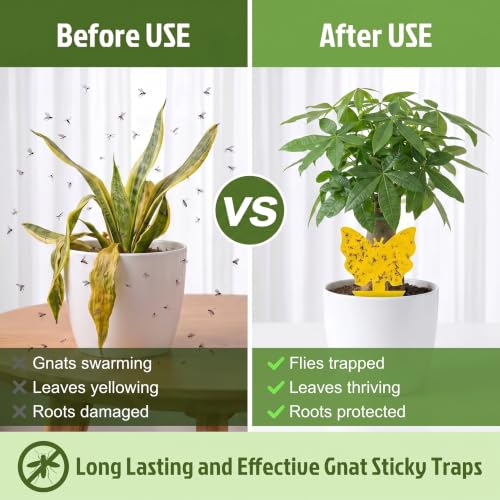 Yellow Sticky Fruit Fly Trap 54 Pack, Gnat Traps for Indoor House Plants - size: 54 Packs